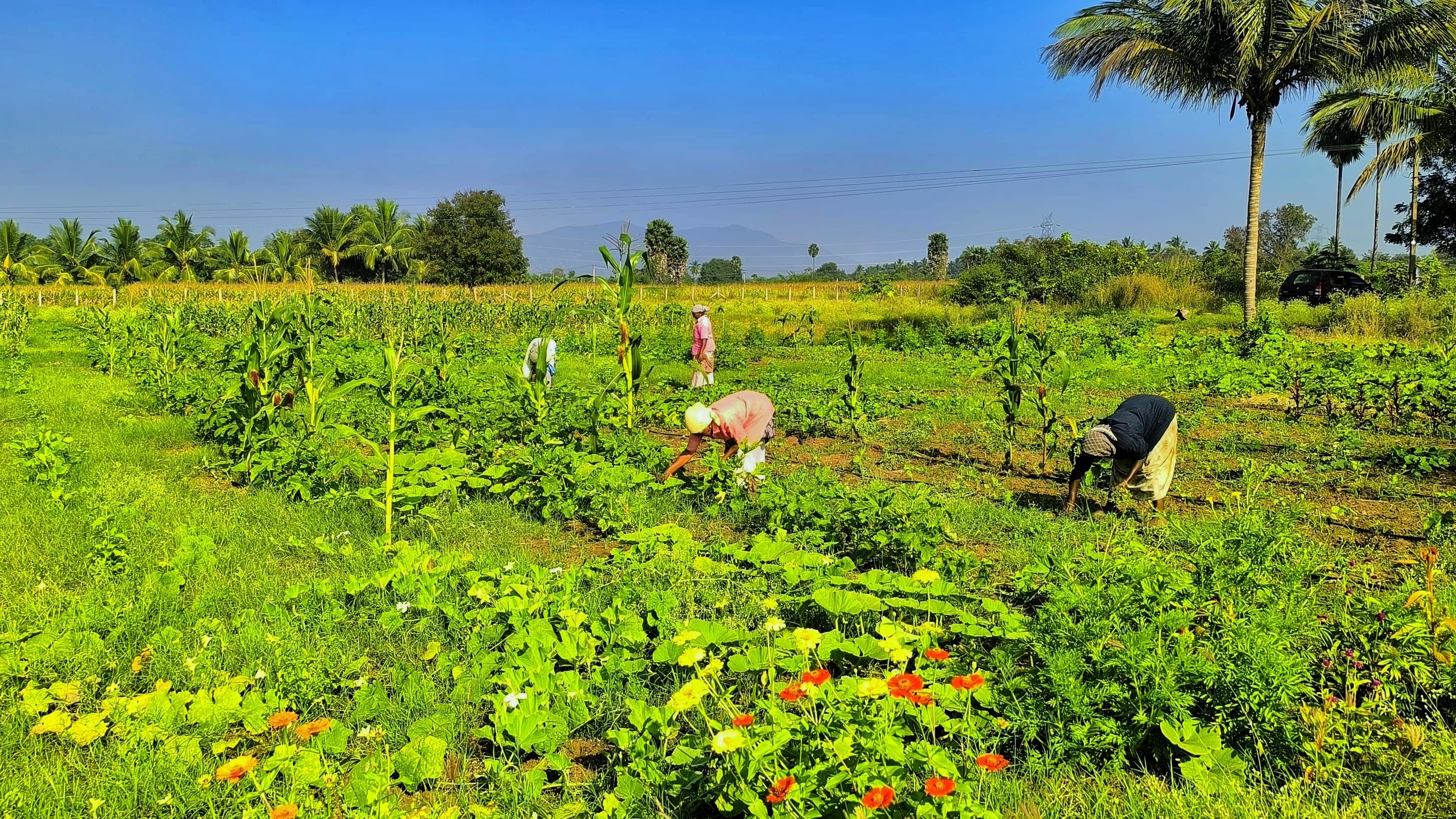 Main Banner Image 1